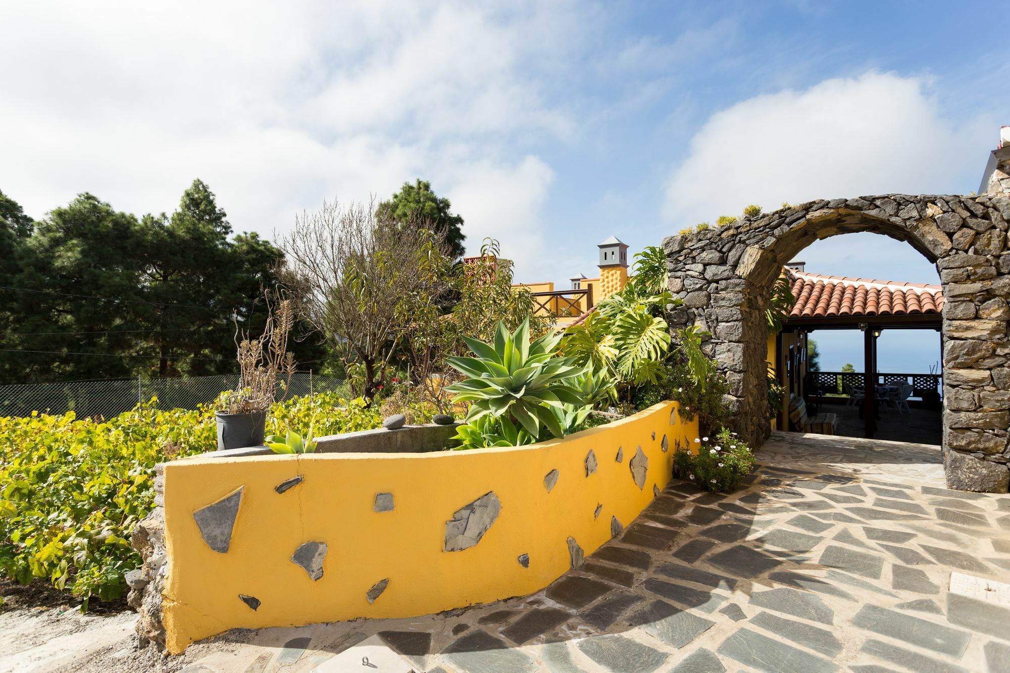 Finca Casa Yaya Icod De Los Vinos Bagian luar foto