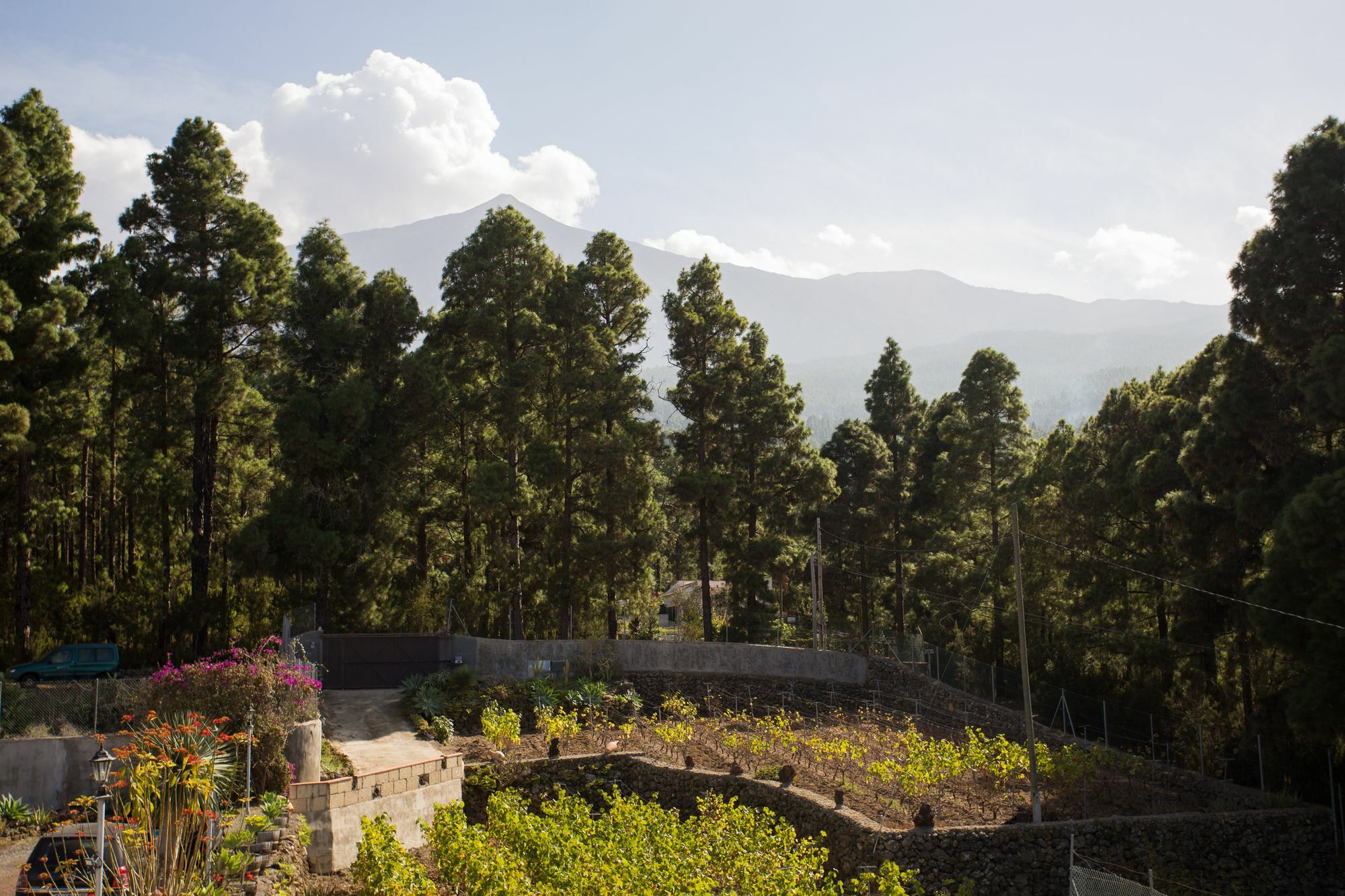 Finca Casa Yaya Icod De Los Vinos Bagian luar foto