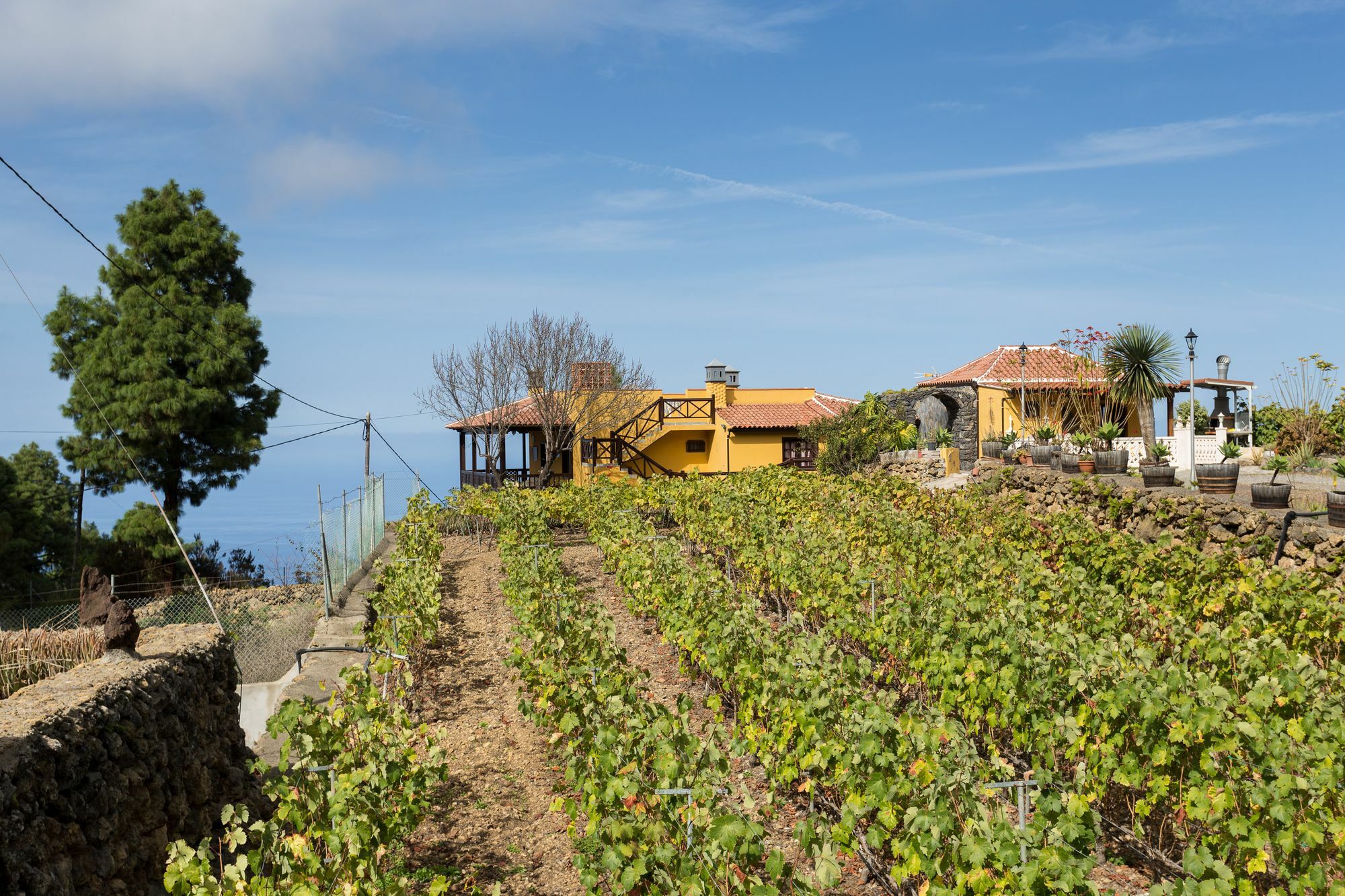 Finca Casa Yaya Icod De Los Vinos Bagian luar foto