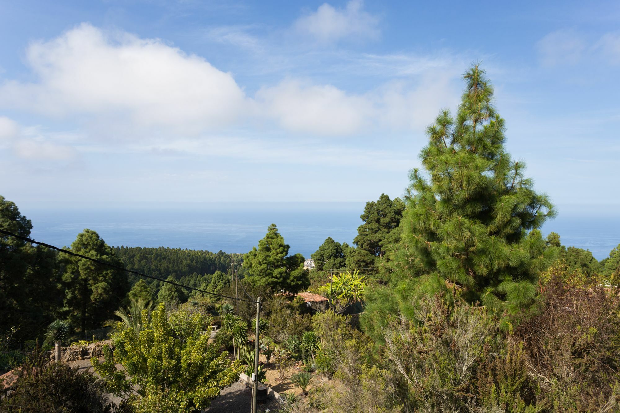 Finca Casa Yaya Icod De Los Vinos Bagian luar foto