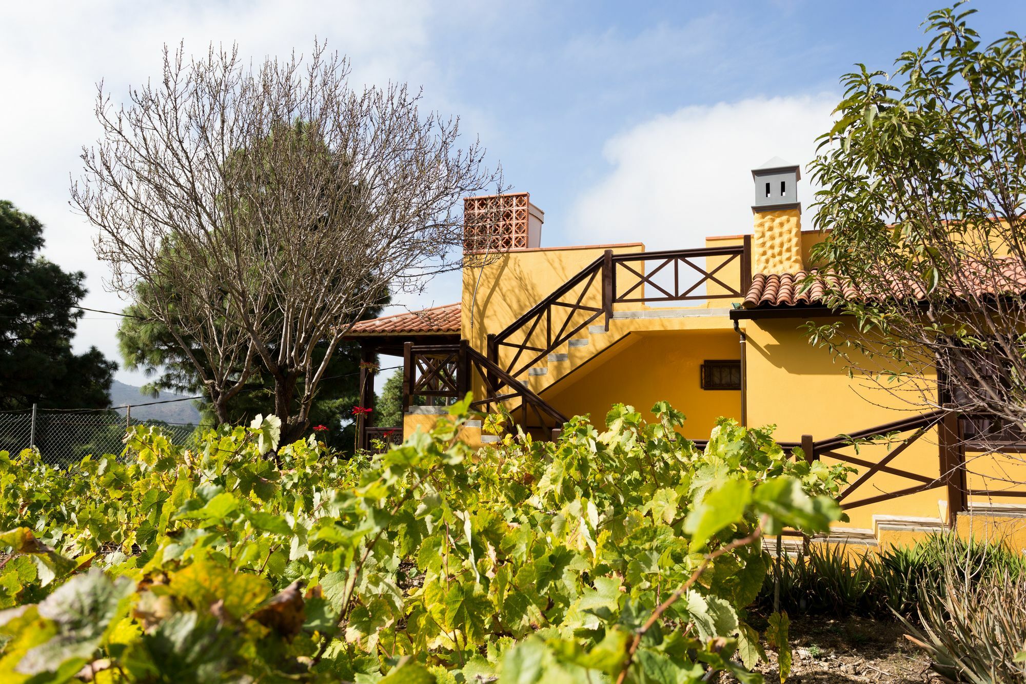 Finca Casa Yaya Icod De Los Vinos Bagian luar foto